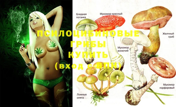 экстази Кинешма