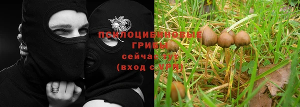 соль ск Коряжма