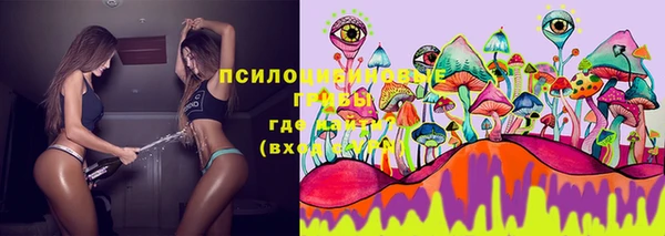соль курить ск Костерёво