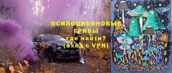 винт Кодинск