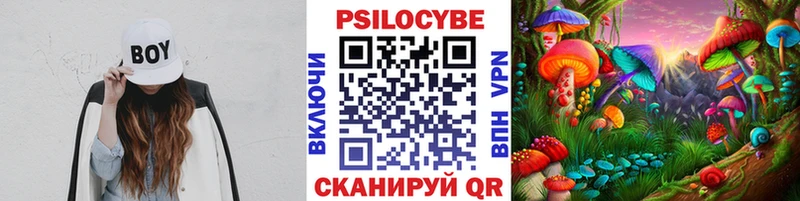 Псилоцибиновые грибы прущие грибы Котово